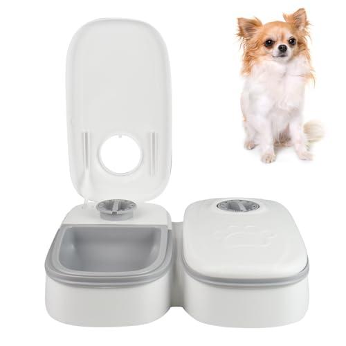 オートペットフィーダ― タイマー式自動給餌器 エサ入れ 2食分 乾湿両用 最大48時間 犬/猫