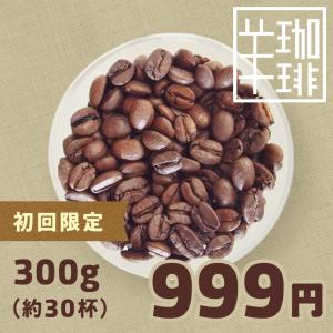 コーヒー豆 おためし 初回限定 ひつじブレンド・コリデール 200g おすすめ 中深煎り 自家焙煎珈琲 ポイント消化｜自家焙煎ひつじcoffee webshop