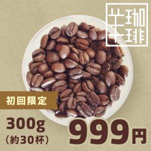 コーヒー豆 おためし 初回限定 ひつじブレンド・コリデール 300g おすすめ 中深煎り 自家焙煎珈琲 ポイント消化