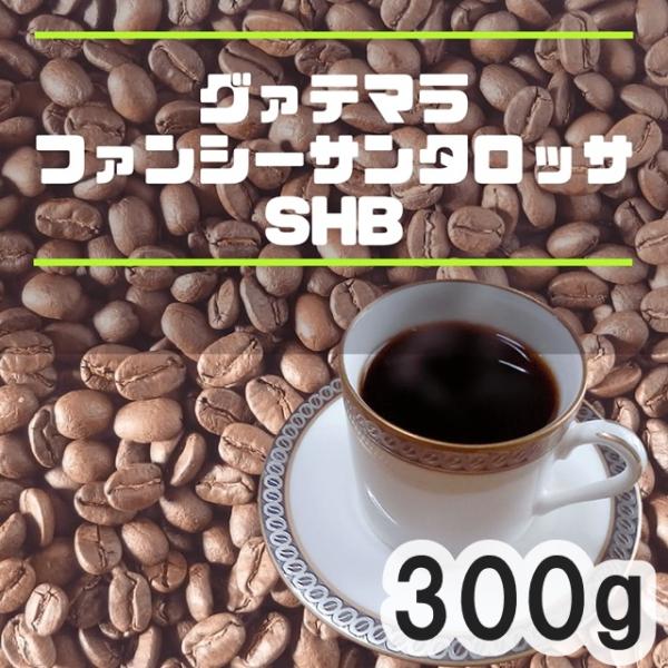 コーヒー豆 300g グアテマラ ファンシーサンタロッサSHB 中煎り 自家焙煎珈琲