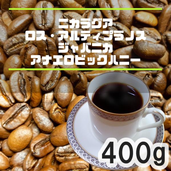 コーヒー豆 400g アナエロビックハニー ニカラグア ジャバ 中煎り 自家焙煎珈琲