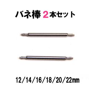 バネ棒 ばね棒 2本 セット ばね 腕時計 ベルト 工具