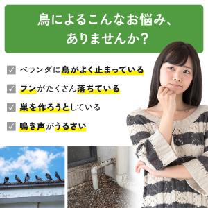 鳥よけ トゲトゲ スパイク 鳥避け マット 害...の詳細画像1