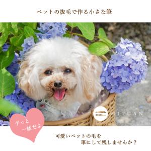 ペットの抜毛で作る小さな筆(お仕立券)past...の詳細画像1