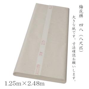 紅星牌 四尺単宣 全紙 100枚入 漢字用 書道 水墨画 正規 画仙紙 安徽