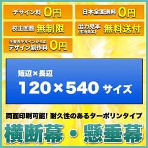 横断幕 懸垂幕(両面ターポリン サイズ：120×540cm)オリジナル 1枚から 全力対応 送料無料 デザイン作成無料 修正回数無制限 写真対応 イラスト対応｜hiuchiehime