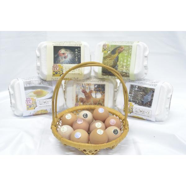 平飼い有精卵(軍鶏・にいがた地鶏・名古屋コーチン・岡崎おうはん・国産赤鶏あずさ)のたまご　5種各6個...