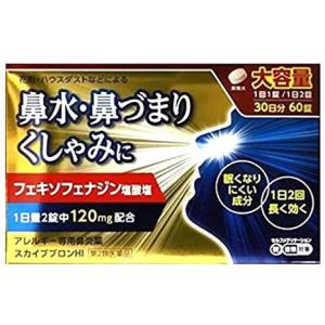 60錠 第2類医薬品 スカイブブロンHI 第２類医薬品 花粉症