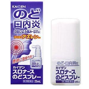 スロナースのどスプレー 25ml 2個 カイゲン 【第3類医...