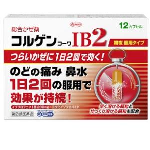 コルゲンコーワIB2 12カプセル 1個 興和（コーワ） 【第(2)類医薬品】