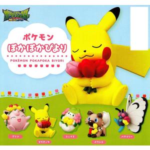 ポケモンぽかぽかびより 全5種 コンプリート　ピカチュウ