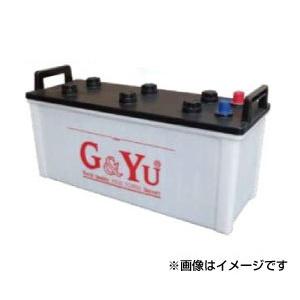代引不可 G&Yu バッテリー 業務用PRO キャップタイプ【HD-D31R】｜hkbsports