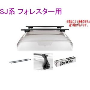 ケーブイプラス KV＋ クロスカントリースキー ローラースキー