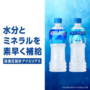 アクエリアス ゼロ 2l 2リットル 2000...の詳細画像3