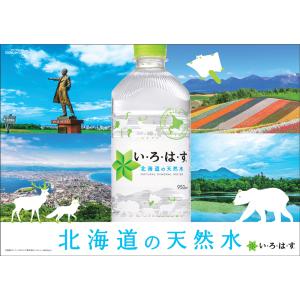 ●+10%対象●水 ミネラルウォーター ペット...の詳細画像1