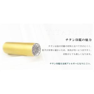 送料無料 会社印鑑・法人実印・会社印・代表印・...の詳細画像1
