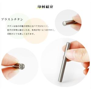 訂正印 6mm 丸型 印鑑 (純度99.8%高...の詳細画像1