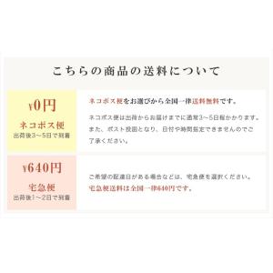 【送料無料】2本入る印鑑ケース 朱肉付 ハンコ...の詳細画像3