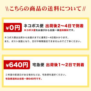 【送料無料】ステンレス調・2本入る印鑑ケース ...の詳細画像3