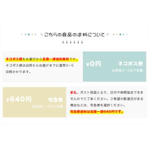 【送料無料】印鑑ケース 朱肉付 はんこケース ...の詳細画像4
