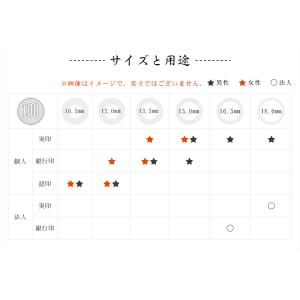 最安挑戦【大量注文承ります】女性 銀行印 印鑑...の詳細画像2