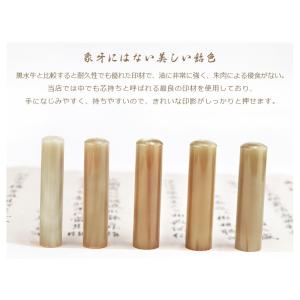 【送料無料】印鑑 はんこ/実印 女性/銀行印/...の詳細画像1