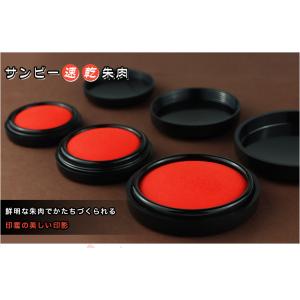 サンビー 速乾印泥 100号 高級朱肉 落款用...の詳細画像1