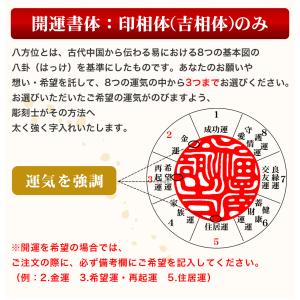 チタン印鑑 認印 銀行印 ケースなし 999円...の詳細画像4