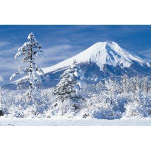 富士山 森田敏隆 森田將裕 森田裕貴 森田椋也の詳細画像3