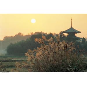 奈良 古色大和路 入江泰吉の詳細画像1