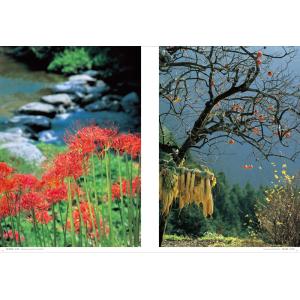 奈良 古色大和路 入江泰吉の詳細画像3