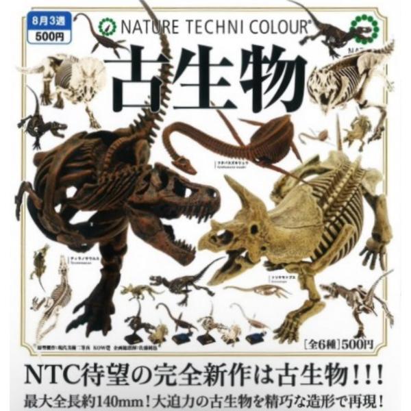 2024年8月予約 ガチャ【NTC古生物 ネイチャーテクニカラー 6種セット】