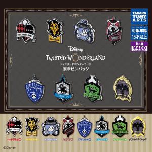ディズニー ツイステッドワンダーランド アルカナカード ディズニー ツイステッドワンダーランド アルカナカード