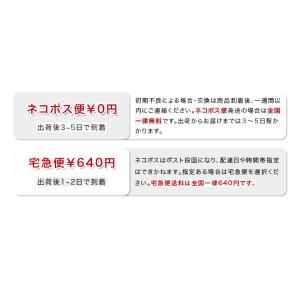 印鑑ケース 訂正印印鑑ケース 2本収納印鑑ケー...の詳細画像3