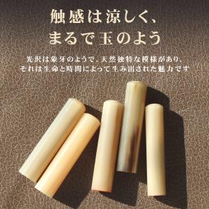 印鑑・はんこ/実印 女性/銀行印/認印/10年...の詳細画像1
