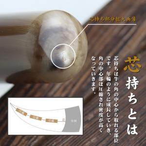 印鑑・はんこ/実印 女性/銀行印/認印/10年...の詳細画像2