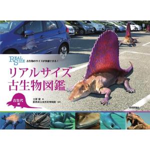 リアルサイズ古生物図鑑 【古生代】｜hkt-tsutayabooks