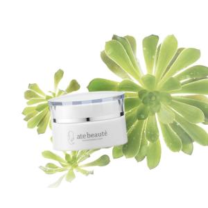 <リニューアル> ate-beaute アテボーテ 白川みきのモイスチャー美容クリーム