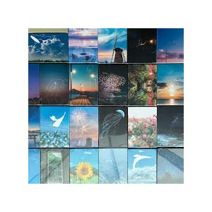 sara　A5キャンバスプリント