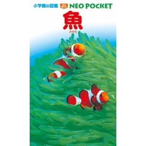 小学館の図鑑NEO) 花 DVDつき : 枚方 蔦屋書店 Yahoo!店 - 通販