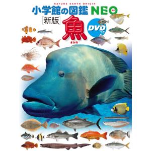 (小学館の図鑑NEO) ［新版］魚　ＤＶＤつき｜枚方 蔦屋書店 Yahoo!店