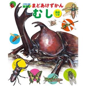 きせつの図鑑 (小学館の子ども図鑑 プレNEO) : 雑貨屋MelloMellow