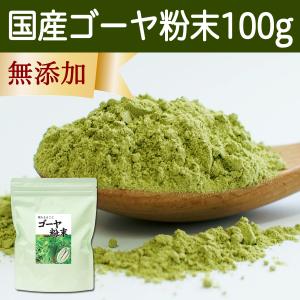 ゴーヤ粉末 100g ゴーヤ パウダー ゴーヤ茶 青汁 お試し