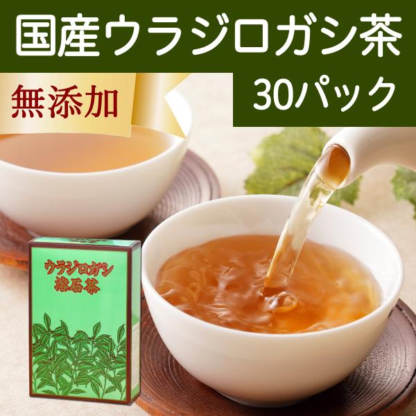 ウラジロガシ茶 30パック 徳島県産 農薬不使用 ティーパック 国産