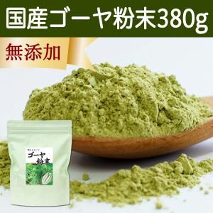 ゴーヤ粉末 380g ゴーヤ パウダー ゴーヤ茶 青汁 サプリメント｜青汁・健康粉末の健康生活研究所