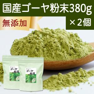 ゴーヤ粉末 380g×2個 ゴーヤ パウダー ゴーヤ茶 青汁 サプリメント｜青汁・健康粉末の健康生活研究所