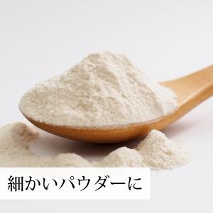 サイリウム オオバコ 粉末の商品一覧 通販 Yahoo ショッピング