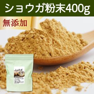 ショウガ 粉末 400g 生姜 パウダー しょうが 粉末 ジンジャー