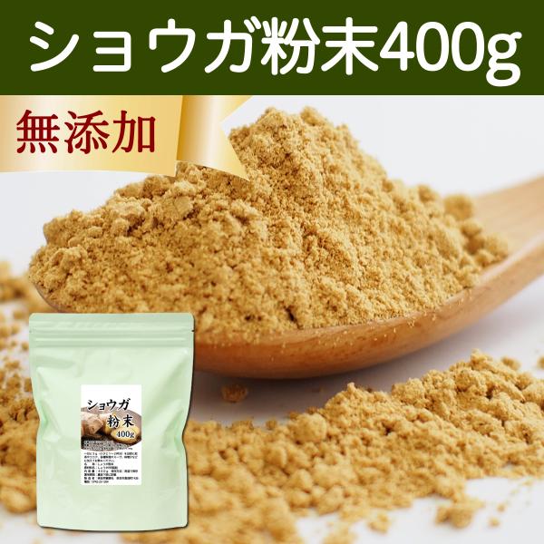 ショウガ 粉末 400g ジンジャー 生姜 パウダー しょうが 粉末