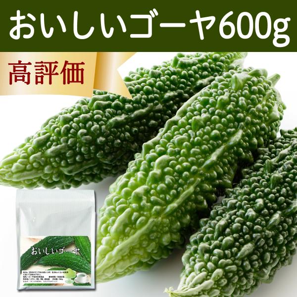 おいしいゴーヤ 600g ゴーヤ 粉末 ゴーヤ茶 サプリ サプリメント